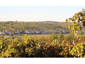 Recesistický mikrostát Republika Kraví Hora, vinařská kultura, humor, Bořetice