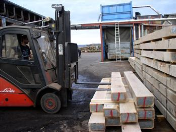 Dřevěné brikety, palivové dřevo - prodej
