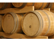 Jihomoravské vinařství - výroba a prodej kvalitního vína