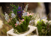 Řezané, hrnkové květiny a dekorační předměty pro floristy, květinářství a dárkové obchody