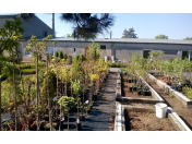 Kvalitní zahradnické služby - realizace zahrad na míru