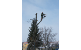 rizikové kácení stromů s nutností spouštění větví a částí kmene
