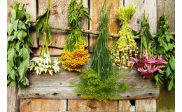 Velký výběr bylin a bylinných produktů v přírodní lékárně Vsetín