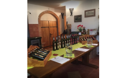 Vinařství na Čejči, degustace, Otvírání sklepů na Moravě
