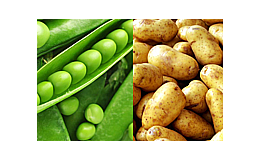 Farma AGRO-ZOO Ing. Josef Vendolský, pěstování a prodej brambor, hrachu, kukuřice, řepky