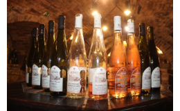 Valtice - vinařství, ochutnávky vína, návštěva podzemí