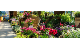 ASB GRÜNLAND spol. s r. o., zahradnické potřeby pro krásnou zahradu