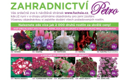 Květiny a rostliny online - eshop fuchsie.cz
