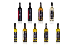 Výroba, prodej kvalitní moravská vína