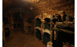 Příjemné posezení a  řízená degustace vína ve vinném sklepě Valtice