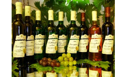 Vinařství, vinotéka, restaurace Mikulov