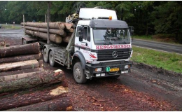Nákladní speciály na přepravu dřevní hmoty