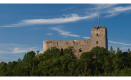 Zřícenina hradu s hradní věží Radyně
