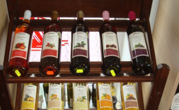 Vinotéka Malovaný sklep ve Znojmě - největší výběr bílých, růžových a červených vín od moravských vinařů