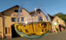Degustace vína s prohlídkou vinařství a výrobních prostor Čejkovice