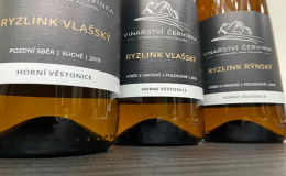 Ochutnávka vína v degustačním sklepě pro 30 osob Horní Věstonice