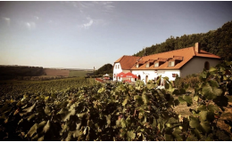 Rodinné vinařství v krásné přírodě jižní Moravy