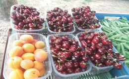 Ovocné marmelády, zavařeny z vlastnoručně vypěstovaného ovoce ve vlastních sadech Kupařovice
