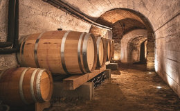 Výroba naturálních vín