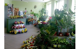 Kytice na svatby, pohřby, promoce - květinová výzdoba Olomouc