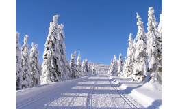 Máme stále volná místa! - Jarní prázdniny na Viktorce v Peci pod Sněžkou: termín od 12.března 2023 do 19.března 2023