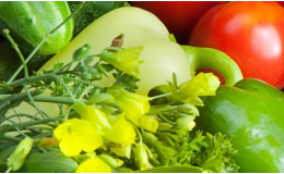 Velkoobchodní prodej ovoce a zeleniny Letohrad