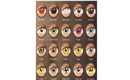 Oční optika – prodej a aplikace kontaktních čoček Bruntál