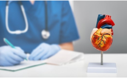 Kardiologie a vnitřní lékařství