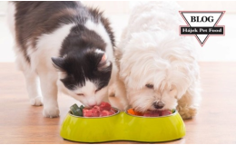 Kvalitní krmiva pro psy a kočky