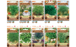 Semena rostlin a bylinek - bazalka, šalvěj, tymián, rozmarýn