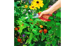 Zahradnické potřeby - zahradní technika, sortiment pro péči o zahradu