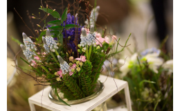 Řezané, hrnkové květiny a dekorační předměty Opava