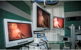 veterinární 3D laparoskopické vyšetření