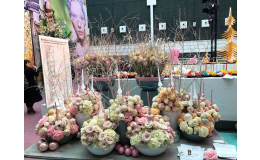Dovoz květina prodej potřeb pro floristy Ostrava