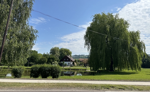 Na okraji obce Provodov - Šonov u Nového Města nad Metují v krásné přírodě provozujeme penzion a restauraci
