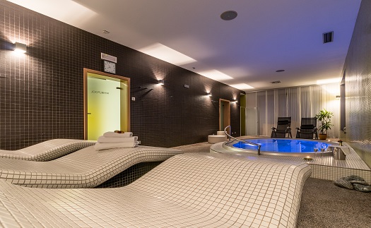 Hotel s wellness centrem, saunou, vířivkou Jižní Morava