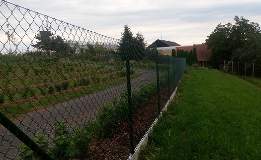 Oplocení z poplastovaného pletiva, pletivové ploty Olomouc, Prostějov