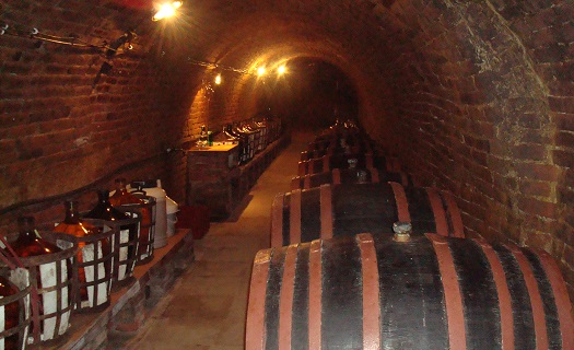 Degustace vín v Malovaném vinném sklepě u Kraví hory