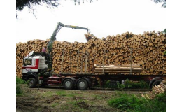 Přeprava dřevní hmoty moderními nákladními vozy