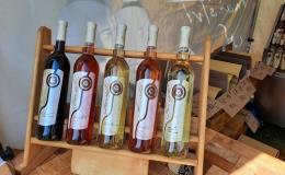 E-shop - víno z rodinného moravského vinařství