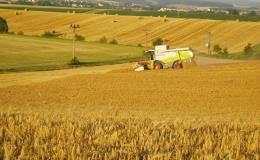 rostlinná výroba - pěstování pšenice