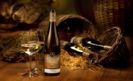 Ochutnávka moravských vín, posezení ve vinici Mutěnice