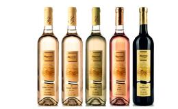 Nakupujte kvalitní bílá, červená, svatomartinská a speciální či rosé vína a klarety z rodinného vinařství na jižní Moravě prostřednictvím e-shopu