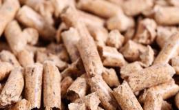 Výroba a zpracování biomasy