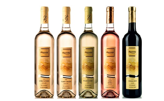 Nakupujte kvalitní bílá, červená, svatomartinská a speciální či rosé vína a klarety z rodinného vinařství na jižní Moravě prostřednictvím e-shopu