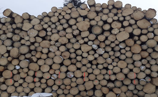 Prodej tvrdého, suchého dřevo na topení Brno-venkov