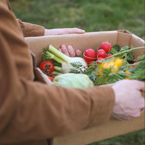 Pevné lepenkové krabice na zeleninu