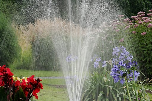 Získejte s dotačním programem Dešťovka až 55 000 Kč na zalévání zahrady