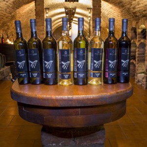 Výroba a prodej jakostních vín z vinařství Kukla