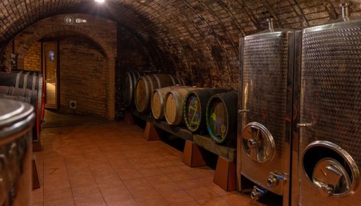 Vína ve vinném sklepě ve Velkých Pavlovicích
